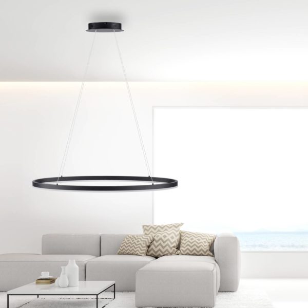 Paul Neuhaus Titus suspension LED, ovale 80×39 cm PAUL NEUHAUS