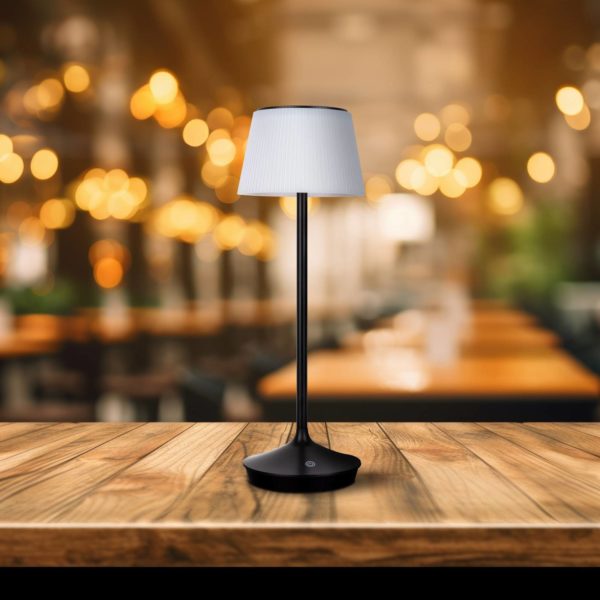 Näve Lampe table solaire LED Emmi CCT recharge, noire Näve